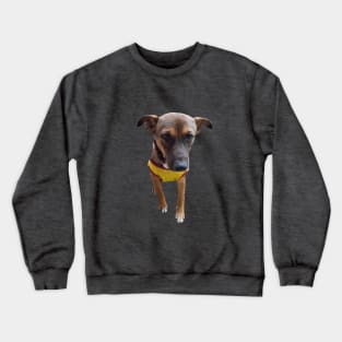 Ting Ting Funny Cute Puppy Crewneck Sweatshirt